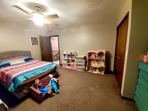 560 E Third Ave, Clifton, IL 60927 photo 38