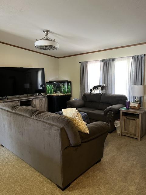 706 W Clark St, Thomasboro, IL 61878 photo 2