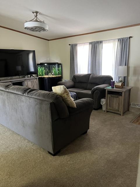 706 W Clark St, Thomasboro, IL 61878 photo 3