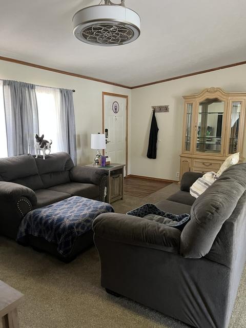 706 W Clark St, Thomasboro, IL 61878 photo 4
