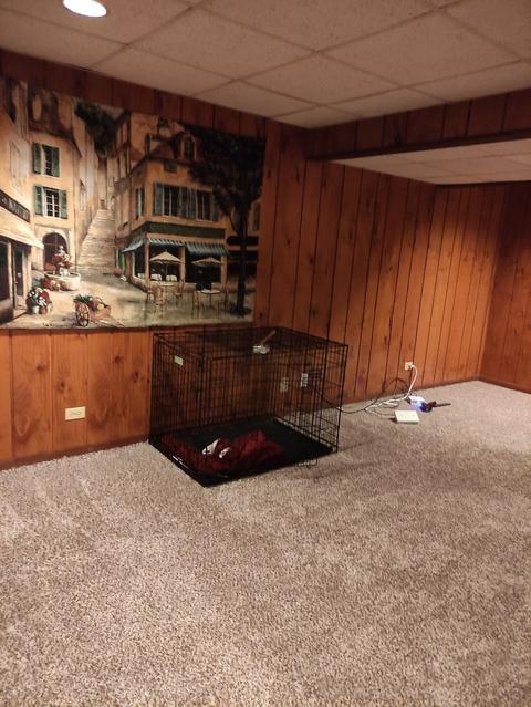 1455 Blackburn St, Wheaton, IL 60189 photo 30