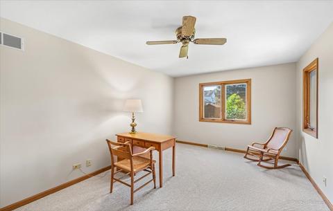 234 S Hickory Ave, Bartlett, IL 60103 photo 9