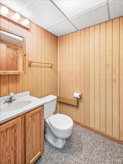 234 S Hickory Ave, Bartlett, IL 60103 photo 27