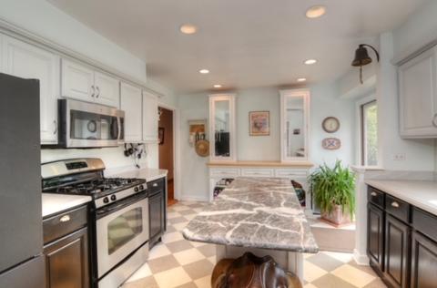 115 W Elm St, Wheaton, IL 60189 photo 6