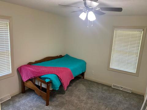 155 E Lockhart St, Niantic, IL 62551 photo 23