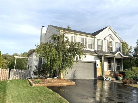 1222 Switchgrass Ct, Minooka, IL 60447 photo 2