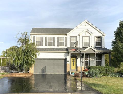 1222 Switchgrass Ct, Minooka, IL 60447 photo 1