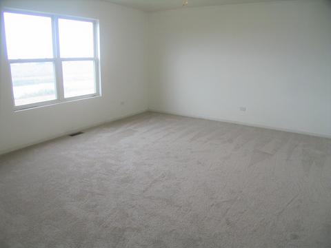 24427 Champion Dr, Plainfield, IL 60585 photo 28