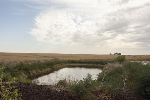 7849 Benson Rd, Lanark, IL 61046 photo 32