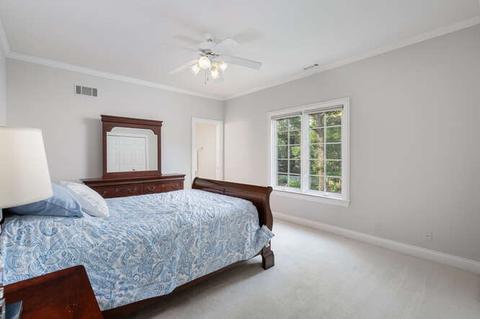 635 E Gartner Rd, Naperville, IL 60540 photo 35