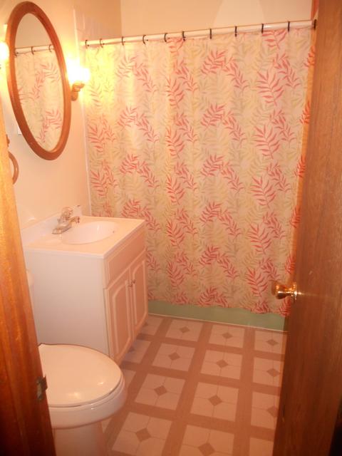 708 Pine Ave, Aurora, IL 60505 photo 12