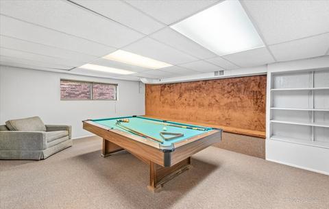 60 Lance Dr, Des Plaines, IL 60016 photo 23