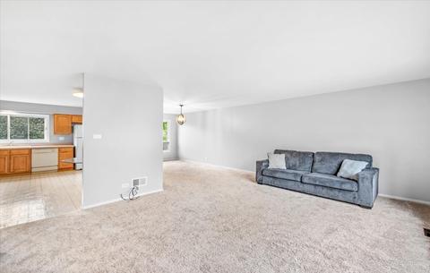 60 Lance Dr, Des Plaines, IL 60016 photo 7
