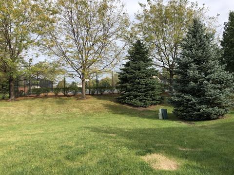 7653 Springbrook Dr, Plainfield, IL 60586 photo 5