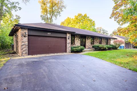 60 Cornwall Dr, Crete, IL 60417 photo 1