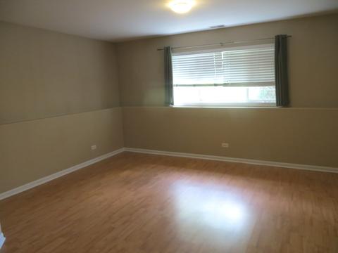89 Cantal Ct, Wheeling, IL 60090 photo 19