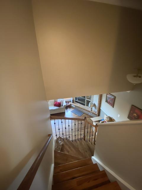 7717 Austin Ave, Burbank, IL 60459 photo 11