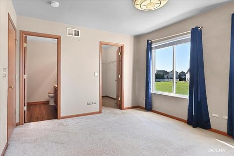 649 Chestnut Ridge Dr, Minooka, IL 60447 photo 10