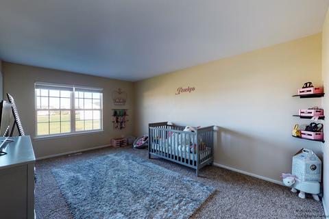 917 Freeman St, Plano, IL 60545 photo 27