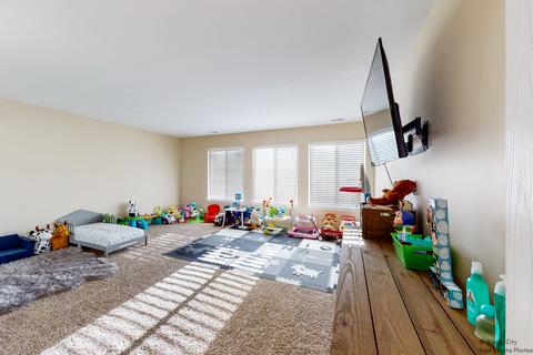 917 Freeman St, Plano, IL 60545 photo 23