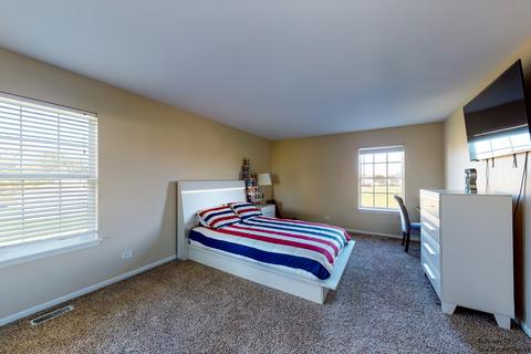917 Freeman St, Plano, IL 60545 photo 25