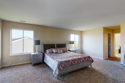 917 Freeman St, Plano, IL 60545 photo 30
