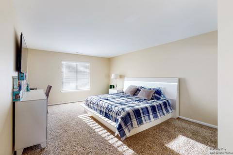 917 Freeman St, Plano, IL 60545 photo 21