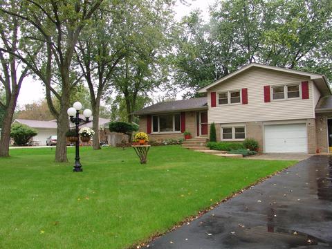 22736 Lahon Rd, Steger, IL 60475 photo 1