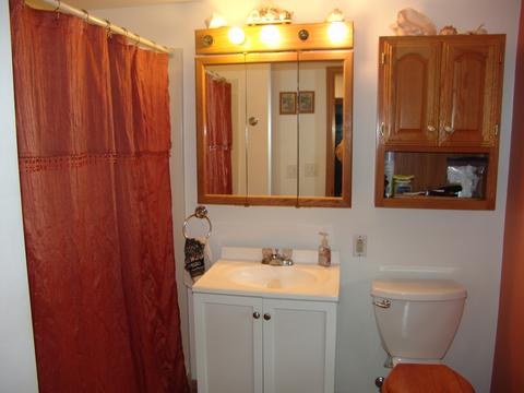 22736 Lahon Rd, Steger, IL 60475 photo 25