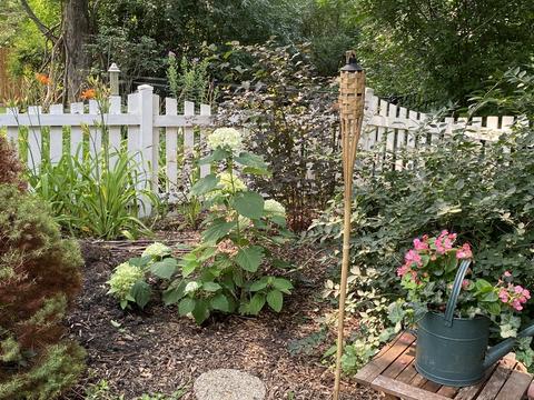 2061 Childs Ct, Wheaton, IL 60187 photo 42