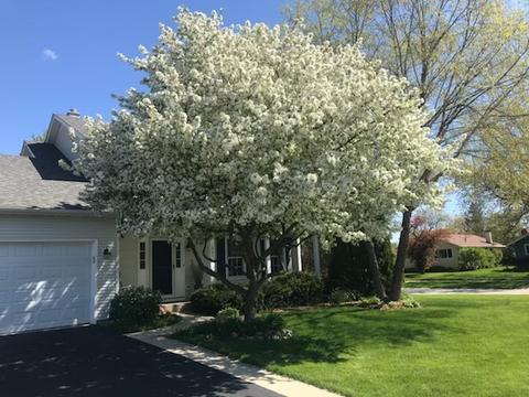 2061 Childs Ct, Wheaton, IL 60187 photo 29