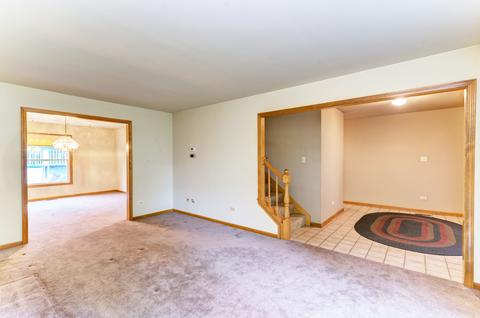 16011 S Dan Oconnell Dr, Plainfield, IL 60586 photo 11