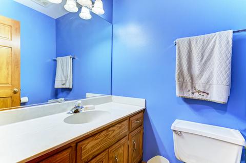 16011 S Dan Oconnell Dr, Plainfield, IL 60586 photo 14