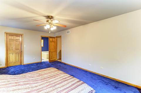 16011 S Dan Oconnell Dr, Plainfield, IL 60586 photo 15