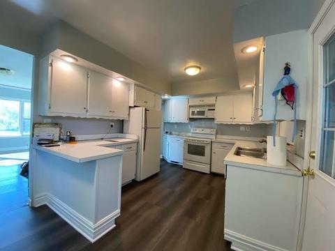 4528 151st St, Midlothian, IL 60445 photo 5