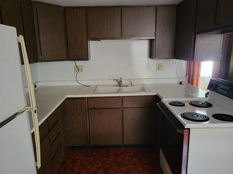 604 E Sixth St, Minonk, IL 61760 photo 10