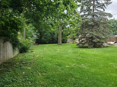 554 Arlington Ave, Des Plaines, IL 60016 photo 23