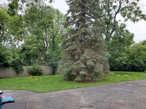 554 Arlington Ave, Des Plaines, IL 60016 photo 25