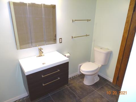 1099 Walter Ave, Des Plaines, IL 60016 photo 17