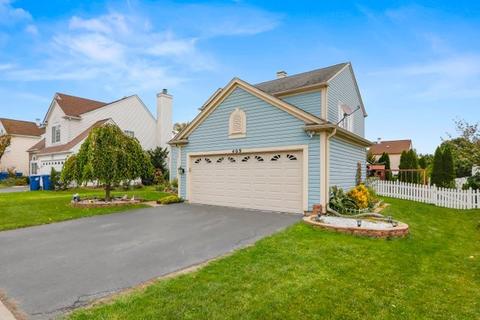 409 Monarch Birch Ln, Bartlett, IL 60103 photo 3
