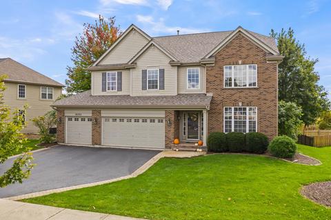 26305 Mapleview Dr, Plainfield, IL 60585 photo 1
