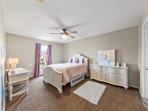 26305 Mapleview Dr, Plainfield, IL 60585 photo 26