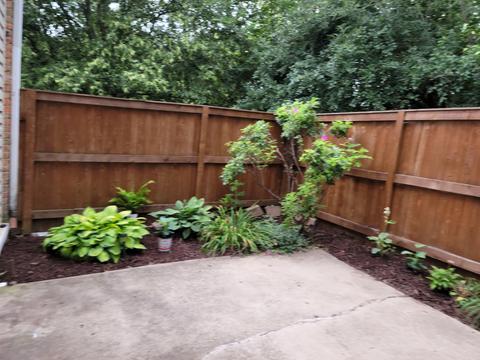 1982 Kenilworth Cir #D, Hoffman Estates, IL 60169 photo 3