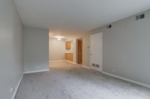 1982 Kenilworth Cir #D, Hoffman Estates, IL 60169 photo 25
