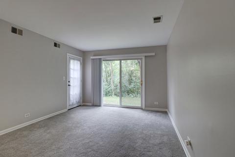 1982 Kenilworth Cir #D, Hoffman Estates, IL 60169 photo 26