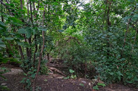 1982 Kenilworth Cir #D, Hoffman Estates, IL 60169 photo 9