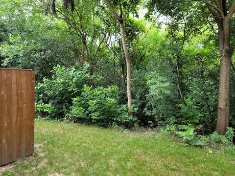1982 Kenilworth Cir #D, Hoffman Estates, IL 60169 photo 5