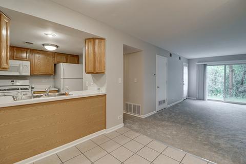 1982 Kenilworth Cir #D, Hoffman Estates, IL 60169 photo 20