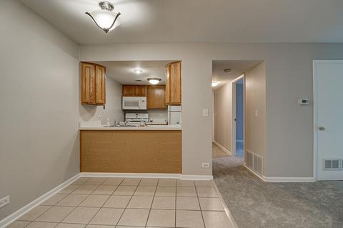 1982 Kenilworth Cir #D, Hoffman Estates, IL 60169 photo 22