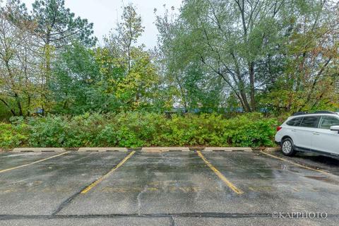 802 N River Rd #3D, Mount Prospect, IL 60056 photo 27